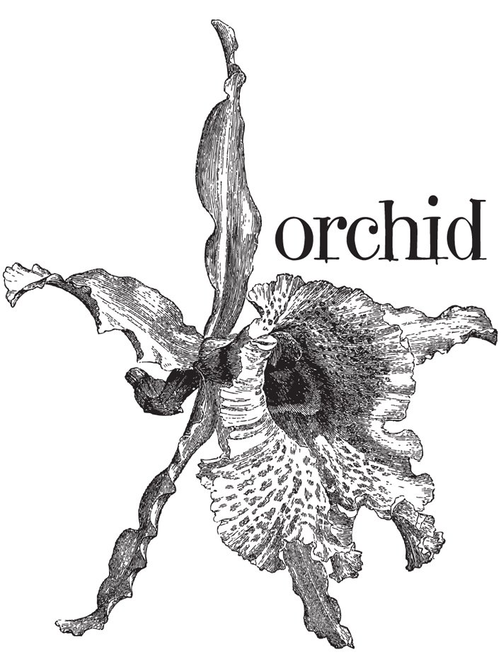 Trademark Logo ORCHID