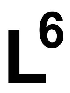  L6