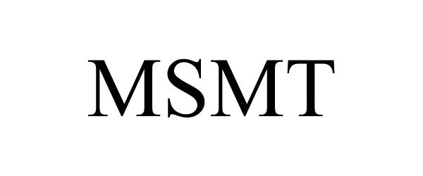Trademark Logo MSMT
