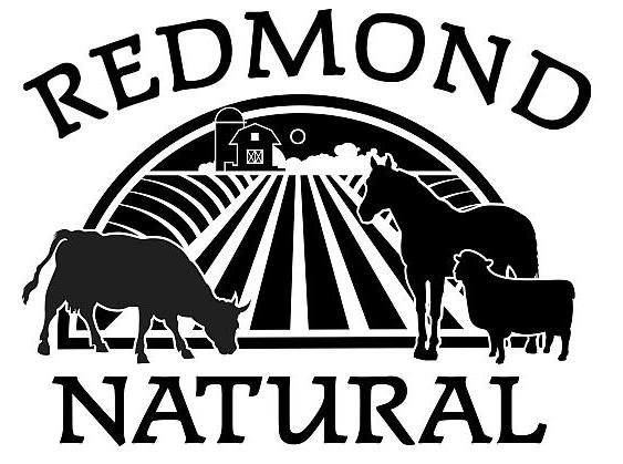 Trademark Logo REDMOND NATURAL