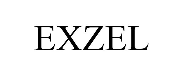  EXZEL