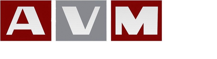  AVM