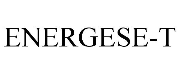  ENERGESE-T