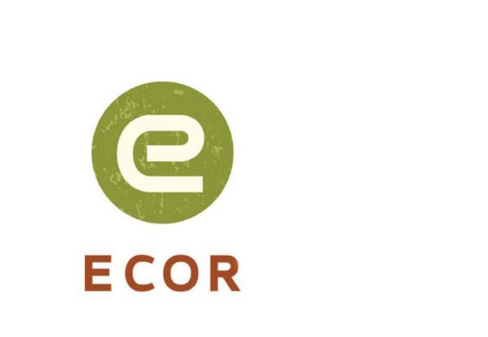 Trademark Logo E ECOR