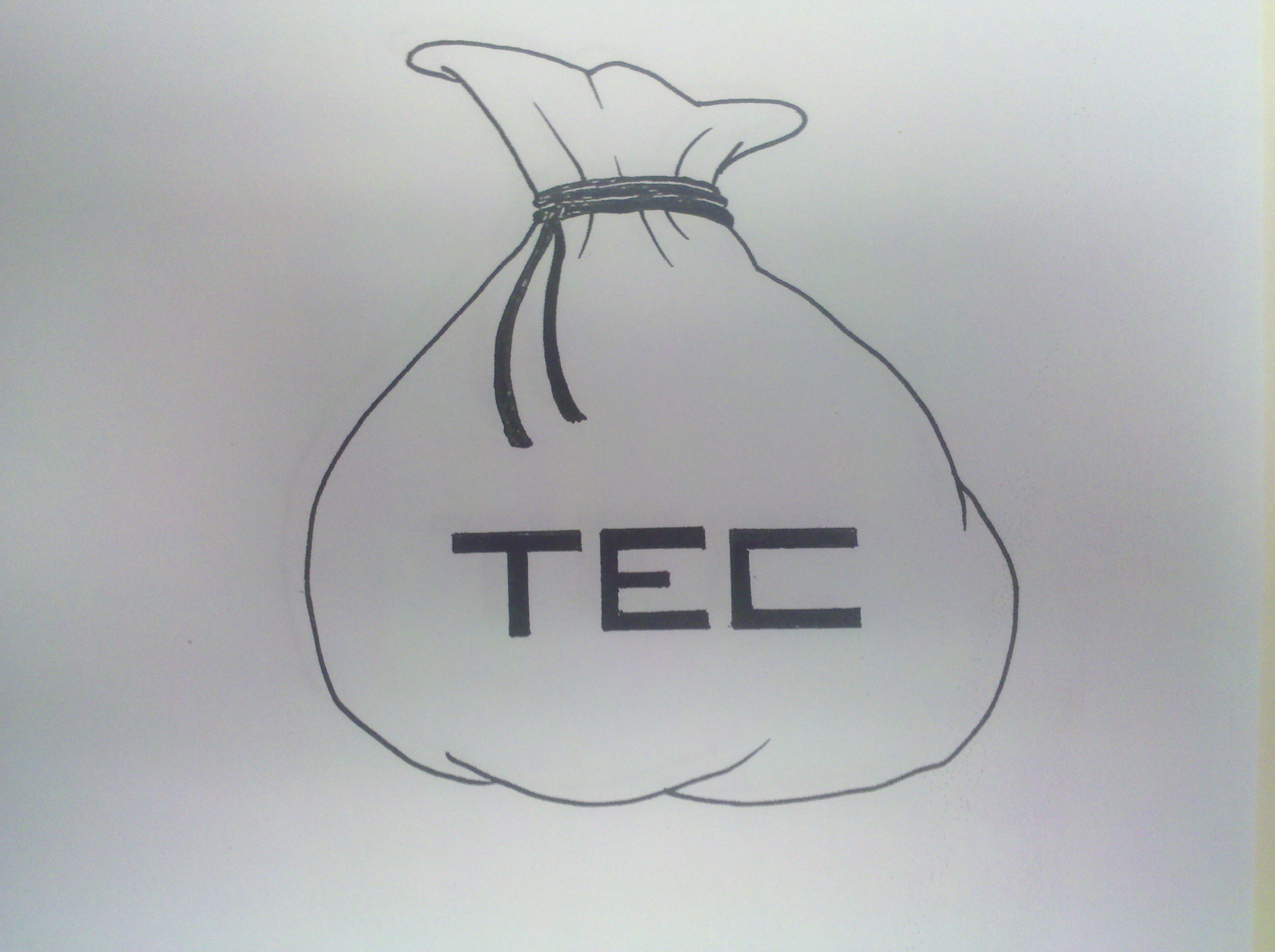 Trademark Logo TEC