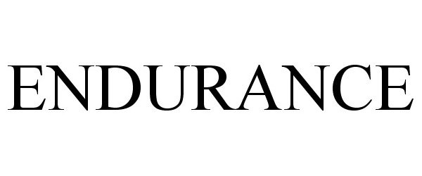 Trademark Logo ENDURANCE