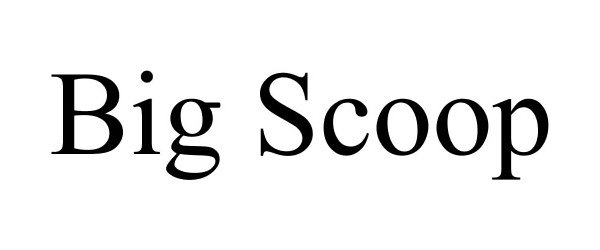 Trademark Logo BIG SCOOP
