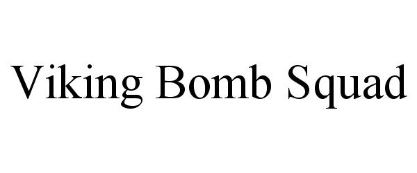  VIKING BOMB SQUAD