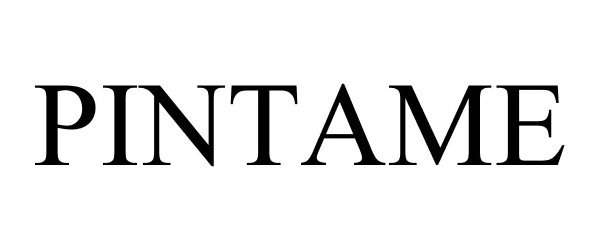 Trademark Logo PINTAME