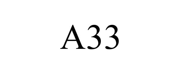  A33