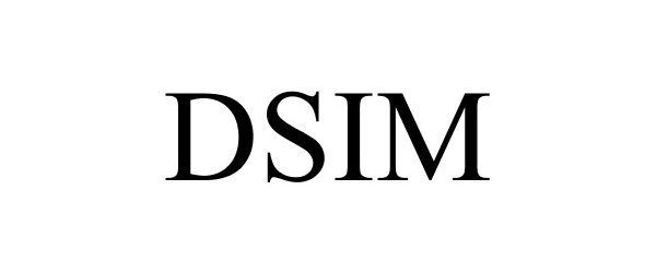  DSIM