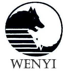  WENYI