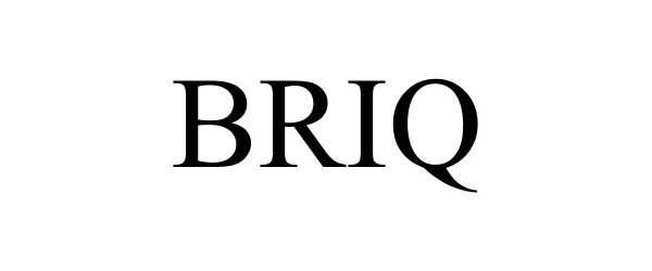 Trademark Logo BRIQ