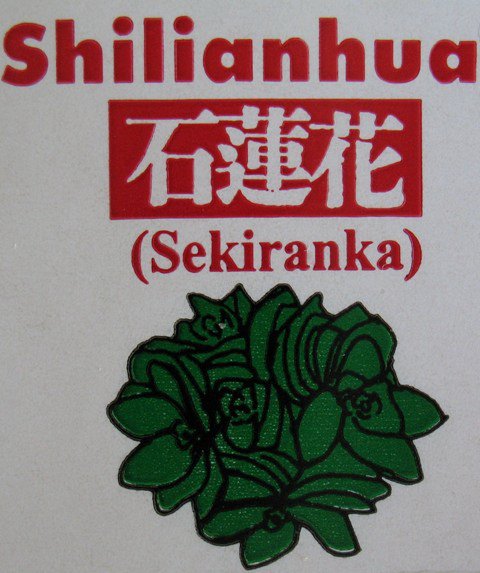  SHILIANHUA ( SEKIRANKA)