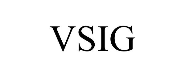 Trademark Logo VSIG