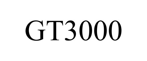  GT3000