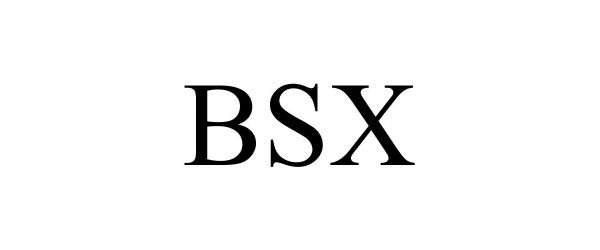  BSX