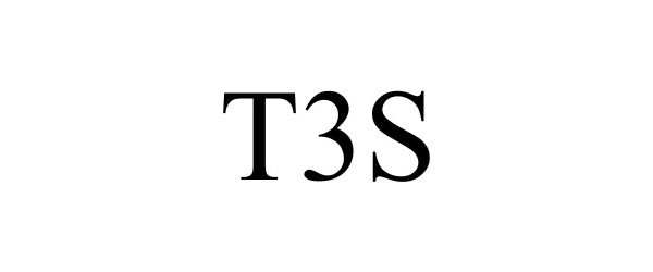  T3S