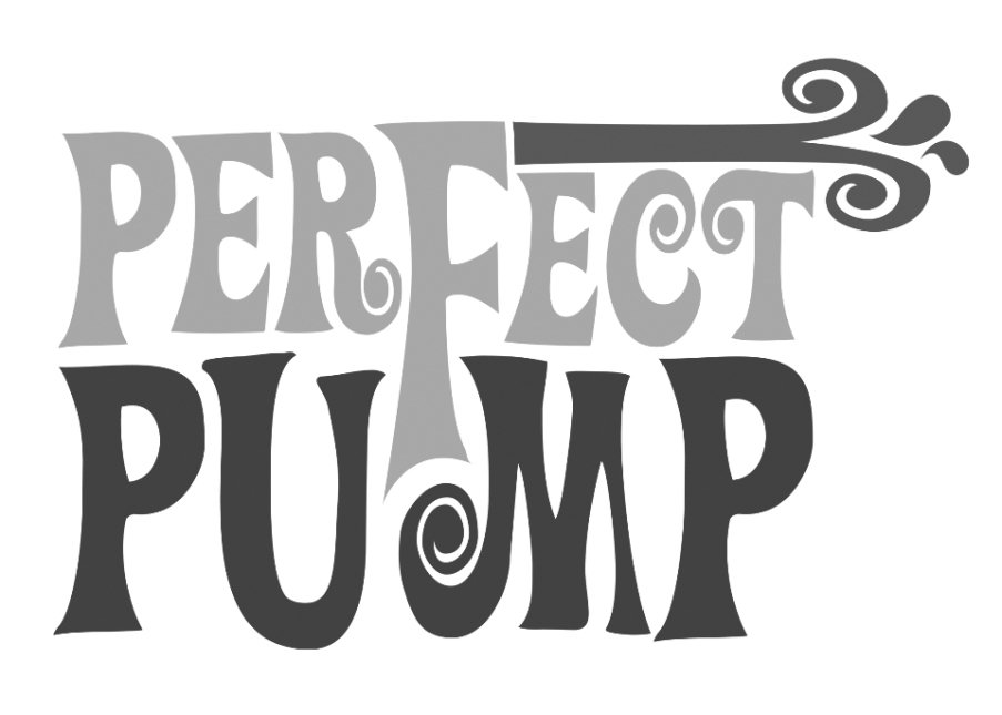 Trademark Logo PERFECT PUMP