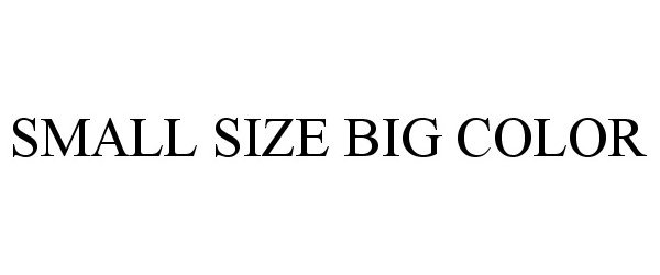 Trademark Logo SMALL SIZE BIG COLOR