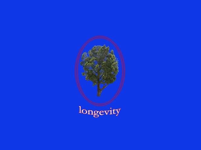 LONGEVITY