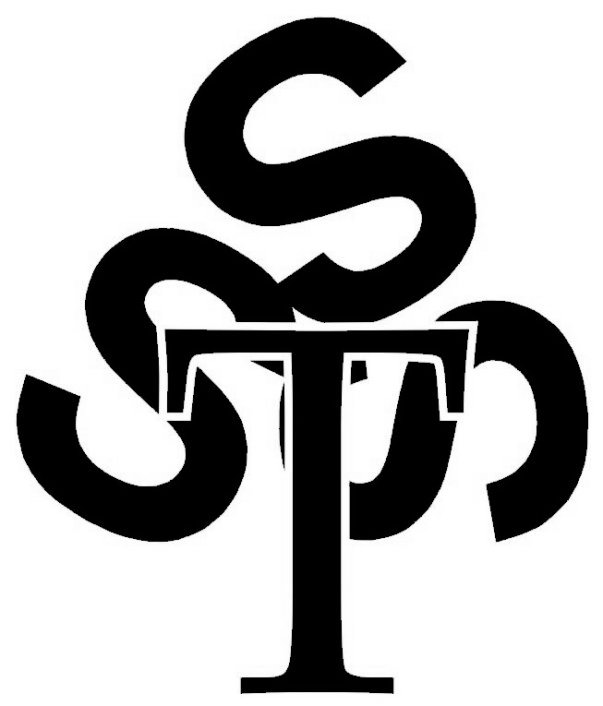 Trademark Logo TSSS