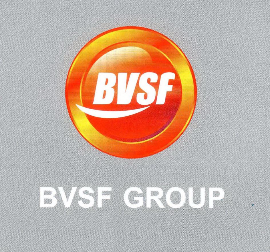  BVSF BVSF GROUP