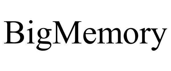 Trademark Logo BIGMEMORY