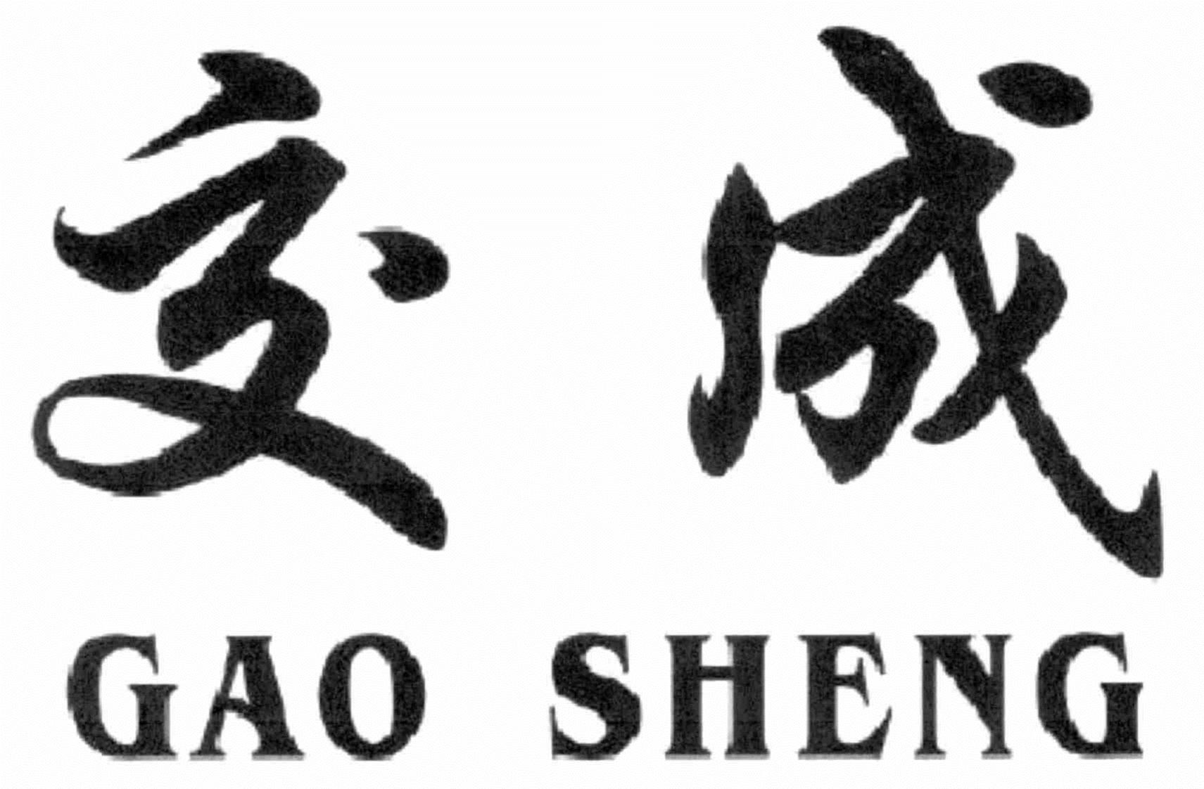  GAO SHENG