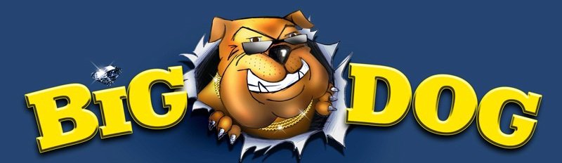Trademark Logo BIG DOG
