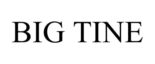 Trademark Logo BIG TINE