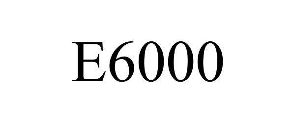 Trademark Logo E6000