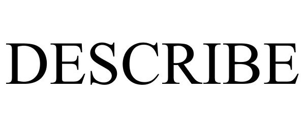 Trademark Logo DESCRIBE