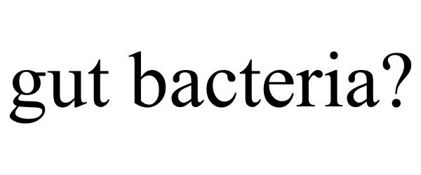  GUT BACTERIA?