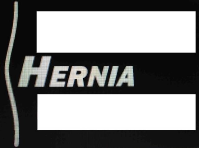 Trademark Logo HERNIA