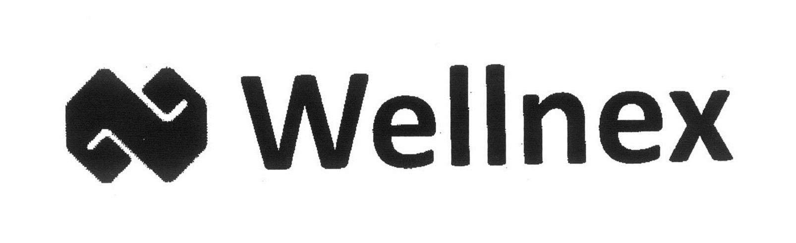 Trademark Logo N WELLNEX
