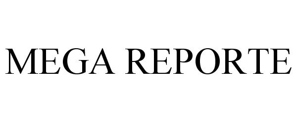  MEGA REPORTE