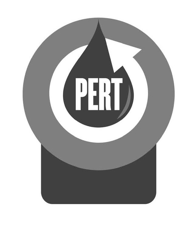 Trademark Logo PERT