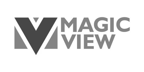 Trademark Logo V MAGIC VIEW