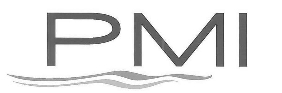 Trademark Logo PMI