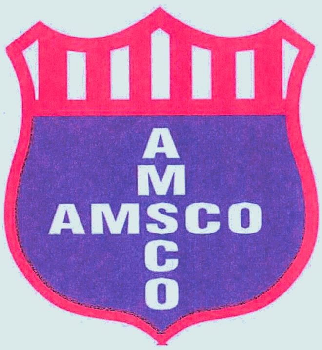  AMSCO AMSCO