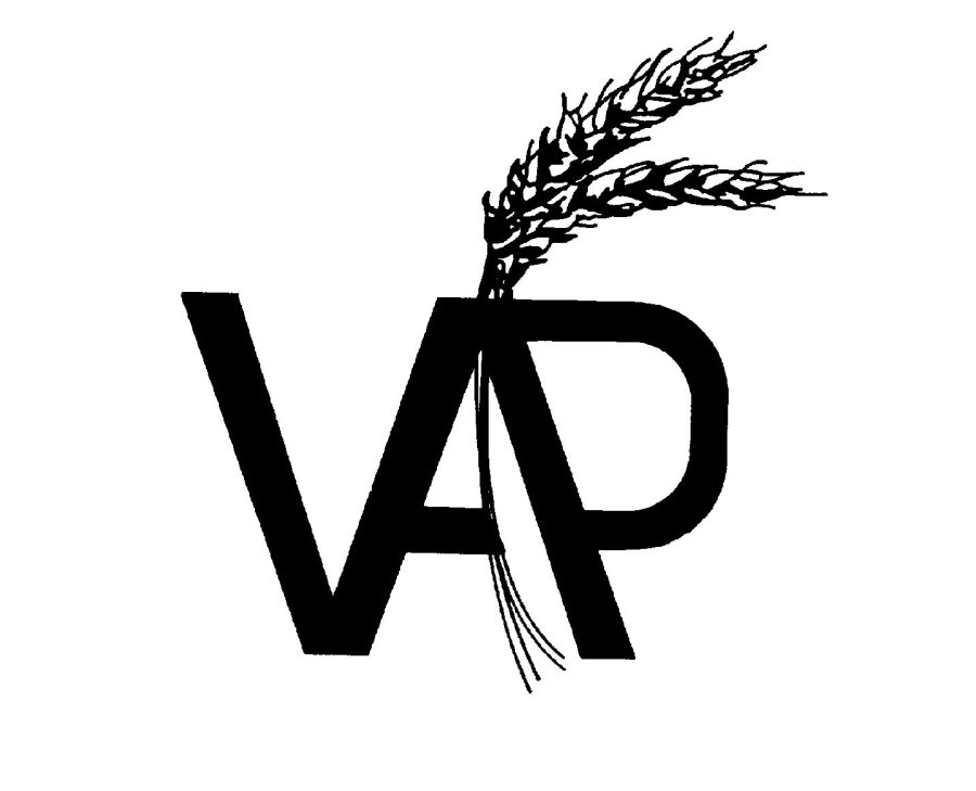 Trademark Logo VAP