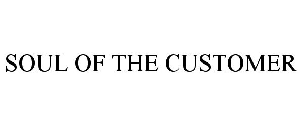  SOUL OF THE CUSTOMER