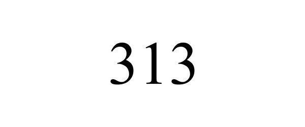 Trademark Logo 313