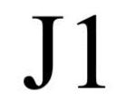  J1