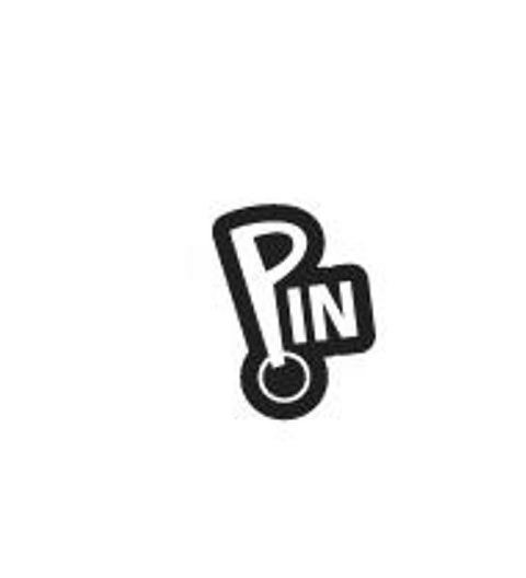 Trademark Logo PIN