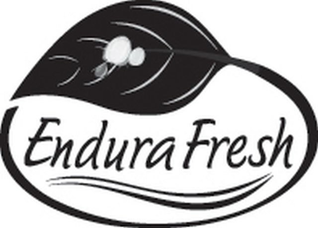 Trademark Logo ENDURAFRESH