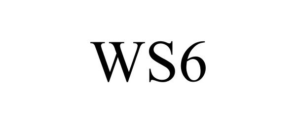  WS6