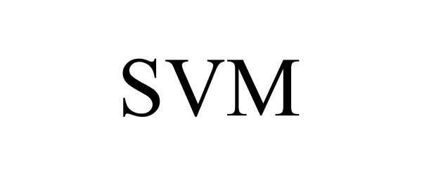  SVM