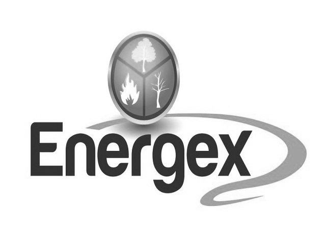 Trademark Logo ENERGEX